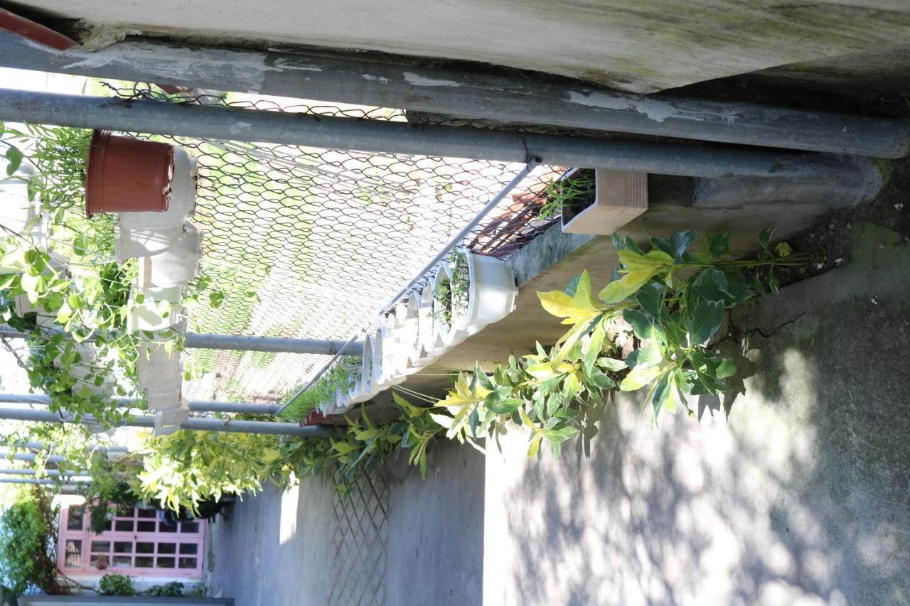 Green Garden House Hoi An Luaran gambar