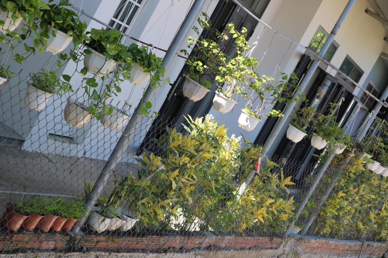 Green Garden House Hoi An Luaran gambar